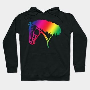 thick mane rainbow Hoodie